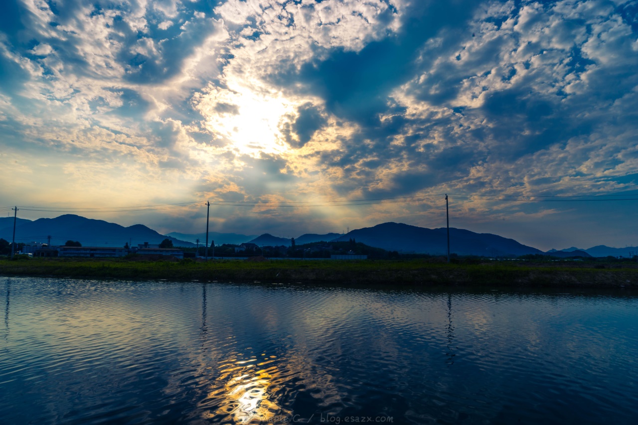 DSC04115.jpg
